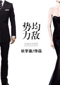 势均力敌长宇宙小说免费阅读